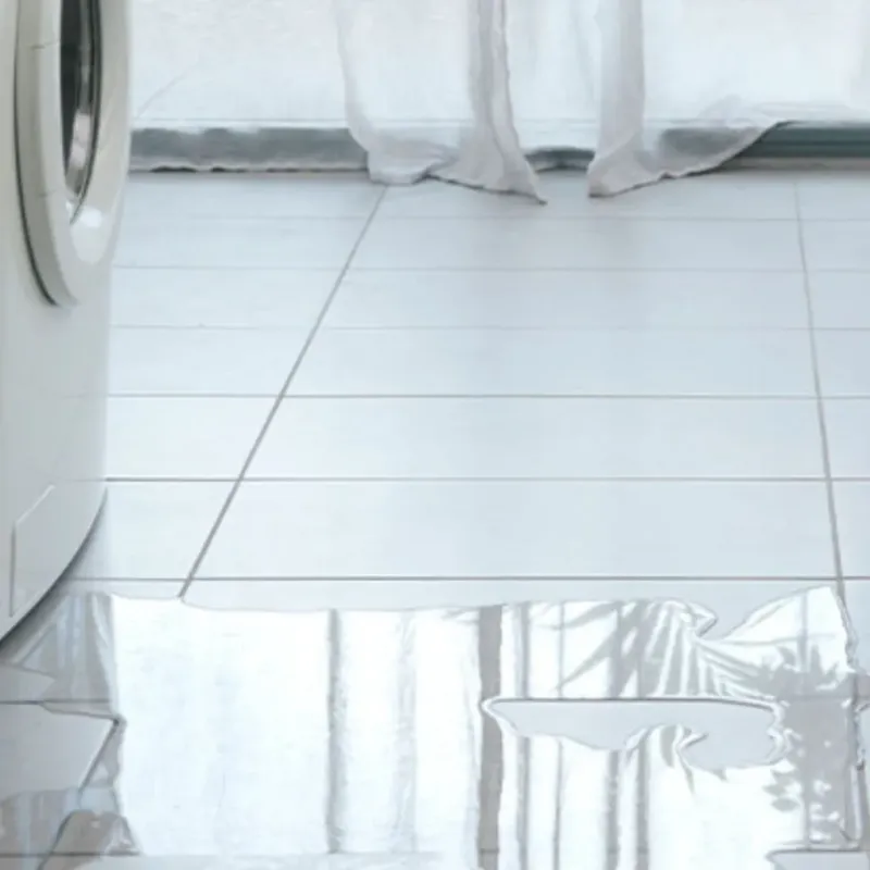 Appliance Leak Cleanup in Sterling, AK