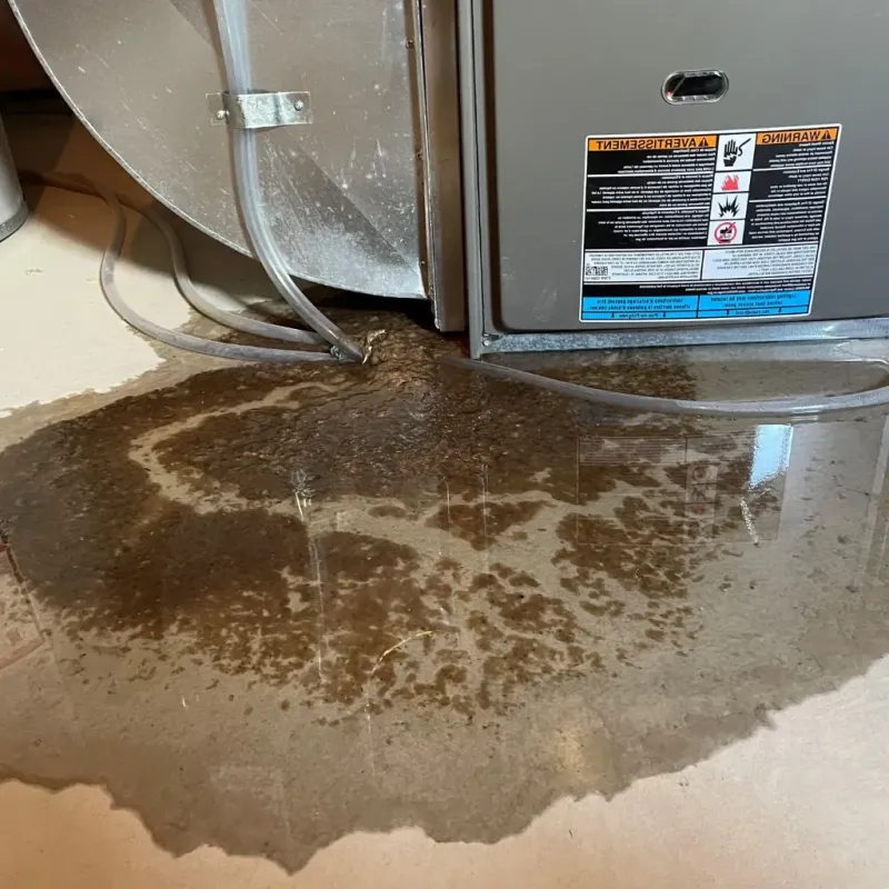 Pipe Burst and Leak Restoration in Sterling, AK