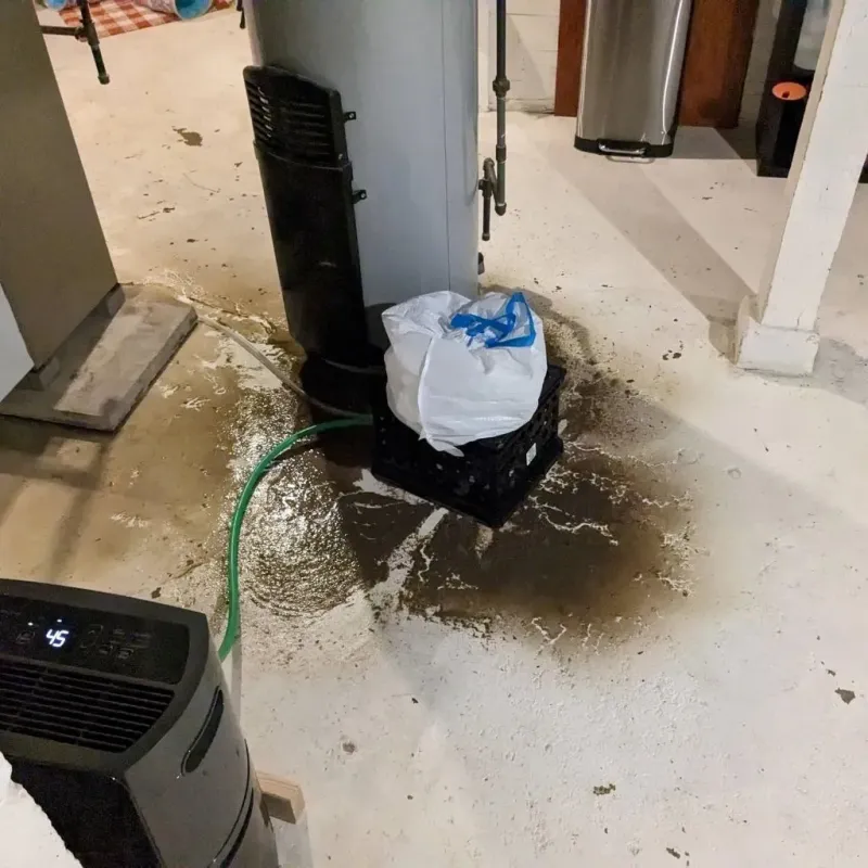 Sewage Backup Cleanup Service in Sterling, AK